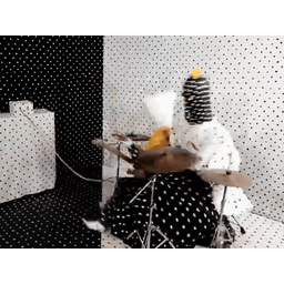 88035ca019a6f5f0b08e.gif