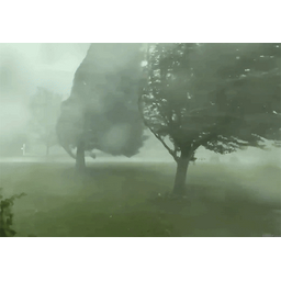 f02a355ff7a2031c30a8.gif