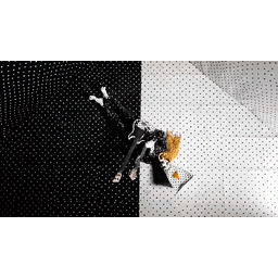 f7cbb4421529e571b841.gif