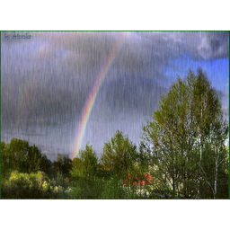 03af34db2597c2954b61.gif