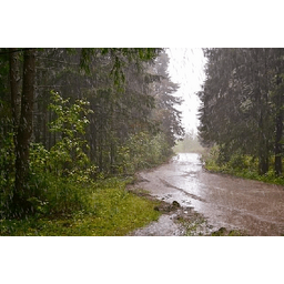 875dc5b537e3c4d09926.gif