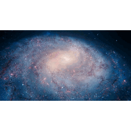 8977135fa81c5ed2f6e0.gif