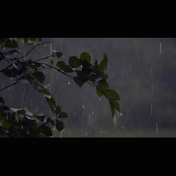a7916d063d65a93c0b06.gif