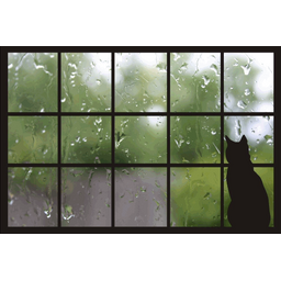 cf508b6e34809fbd8239.gif