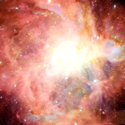 e7826e21d82e8fefaf43.gif