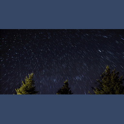 e989df708e98298b700a.gif