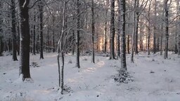 6dfb1dbf20ad3c4a9249.mp4