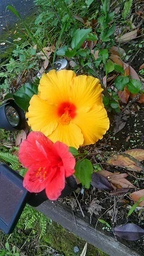 b61baf6b173a3cc58df8.webp