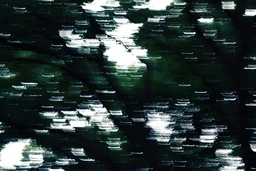 0d727b05f900769a5513.webp