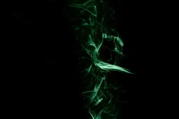 663462d60ad45b29b302.webp