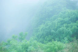 c6942ceaeb6292f93bdc.webp