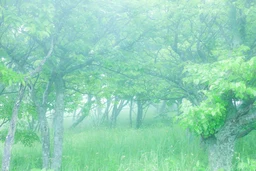 e334dbd7b443b1cd34de.webp