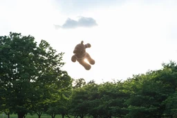e380a53216316202c2cb.webp