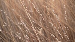 d57e08d36e5eb036b92a.mp4