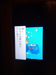 9bb6d184a1920c501f43.webp