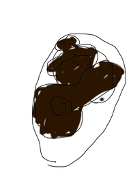 4805af14113713de3816.webp