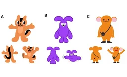 9c36bdc62a5017f2eaa3.webp