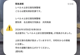 fdea13a583a252838228.webp