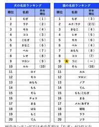 03eaea6216cd685f66ad.webp