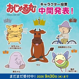 e97c1a76ba7845a30bcd.webp