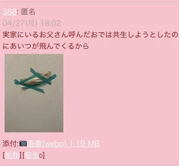 93fe9eaffdf1dace6f47.webp