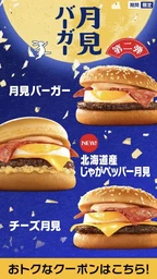 d9efc15fc37a9c444038.webp
