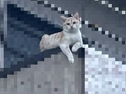 1481da6e276aea7ad467.webp