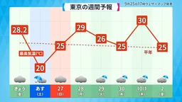 78eb76234334b3c1bd50.webp