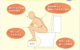 7c1a0d4754446ed87919.webp
