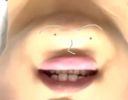 f721bf5c9c05d7c046a1.webp