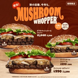 a4c11d1e41cda2663027.webp