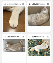 67cc19e0f747615c3ac9.webp