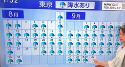 251b348273b147d23085.webp