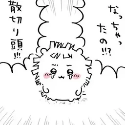 bcd4c936777d26d577be.webp