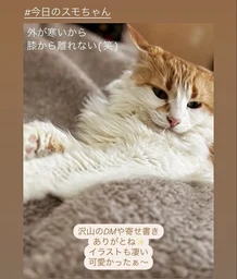 a9bde57de36adf2f4054.webp