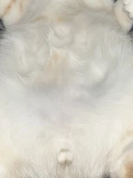 677d83d30e4dc1e2559e.webp