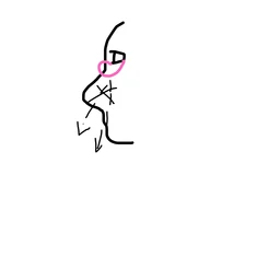 8723288e1517979af964.webp