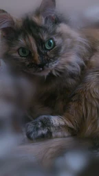 5ff84caec2d01ad653d1.webp