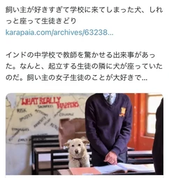 5c341001e721951fc62f.webp