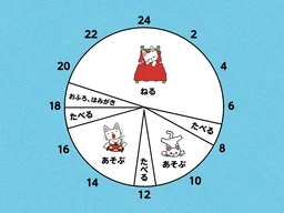 65ef690a55c1e4116627.webp