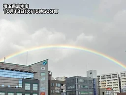 c5c9f5aa1172b34afc15.webp
