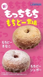 aa7589ed3f706fc05152.webp