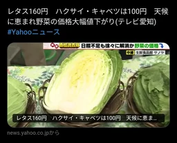 a13eb9ac31b76c675c75.webp