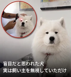 fa10fa381ffad446d561.webp