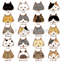 880825bfb967c7f18166.webp