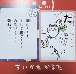 769ab6fe41456e53ef69.webp