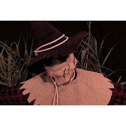 40ea66ca8160038ebc5b.gif