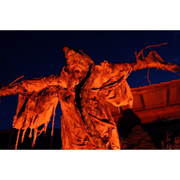 a1242732d49b995ac993.gif