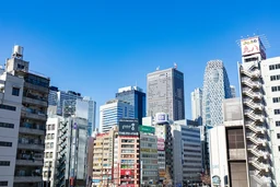 8f3763049d55a1ad6950.webp