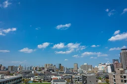 dbb783c00703284a7c10.webp